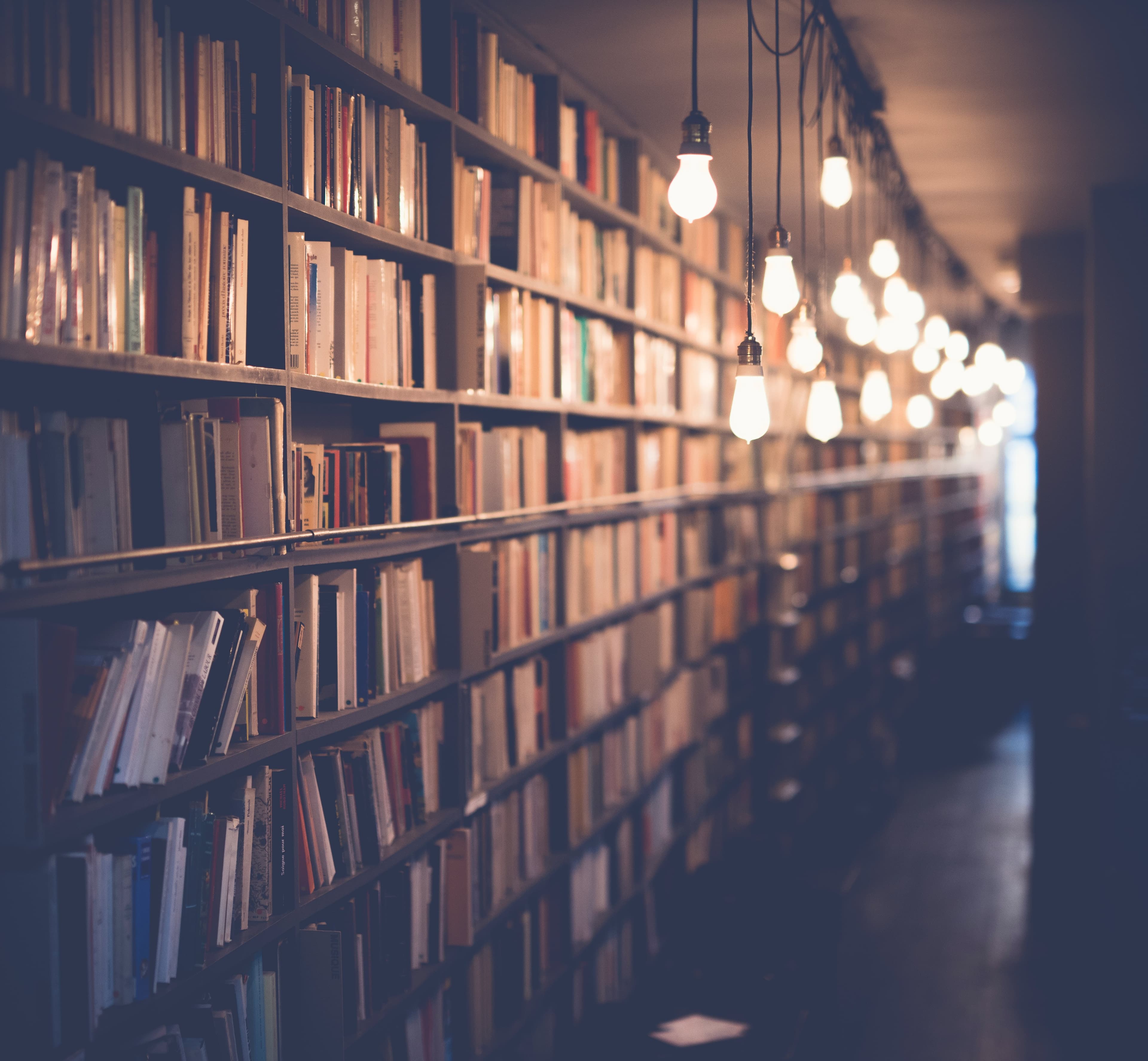 Bibliothèque éclairée par des ampoules suspendues